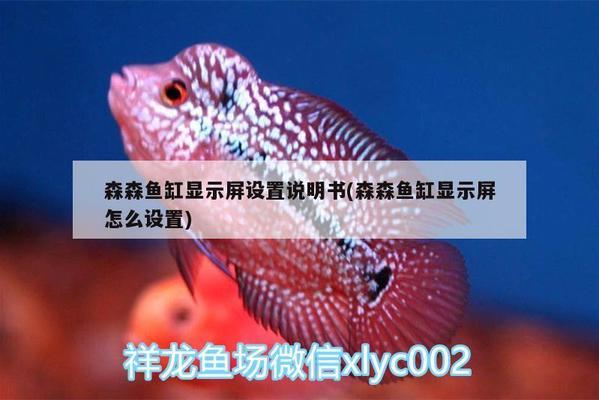 景德镇水族馆请教下各路大神们告知下龙鱼的知识