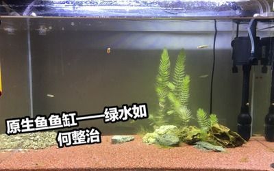 長(zhǎng)沙金魚(yú)缸批發(fā)市場(chǎng)地址電話號(hào)碼是多少