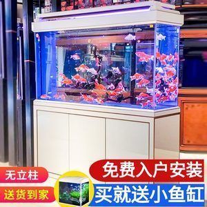 懷化龍魚批發(fā)市場（懷化龍魚批發(fā)市場在哪里）