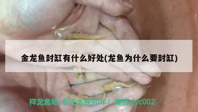 最新葫蘆島二手魚缸信息大全電話（最新葫蘆島二手魚缸信息大全電話號(hào)）