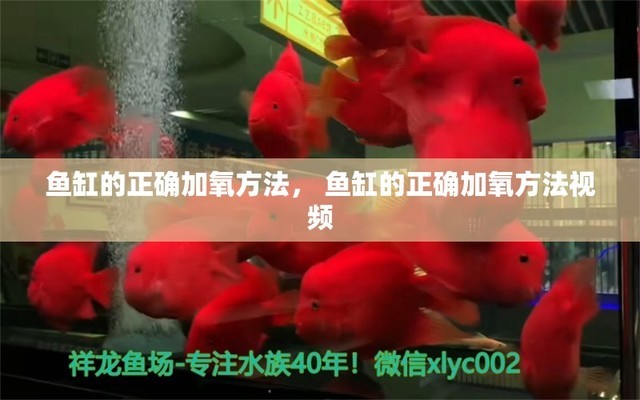 咸寧魚缸定制電話多少啊價(jià)格（咸寧魚缸定制電話多少啊價(jià)格多少）