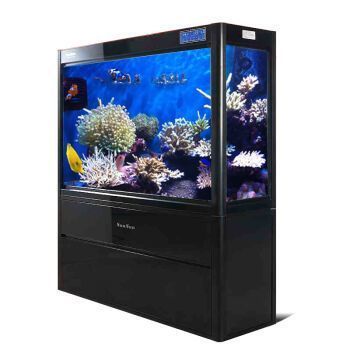 臨潁縣境易水族店（臨潁縣漁具店） 全國(guó)水族館企業(yè)名錄