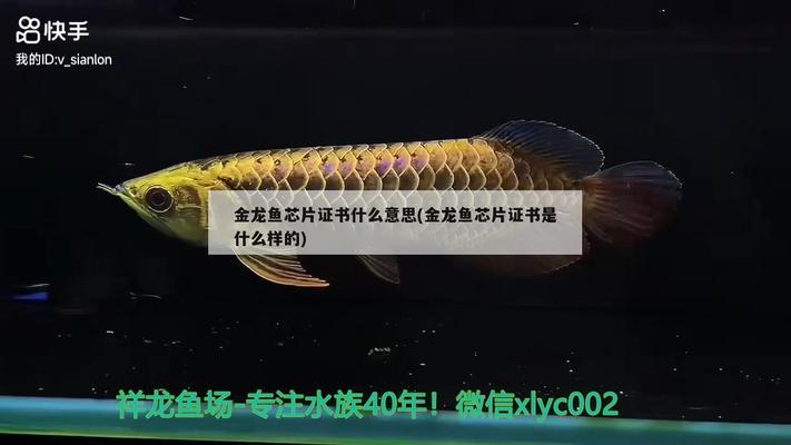 水晶鱼缸牌子好么（水晶鱼缸牌子好么知乎）