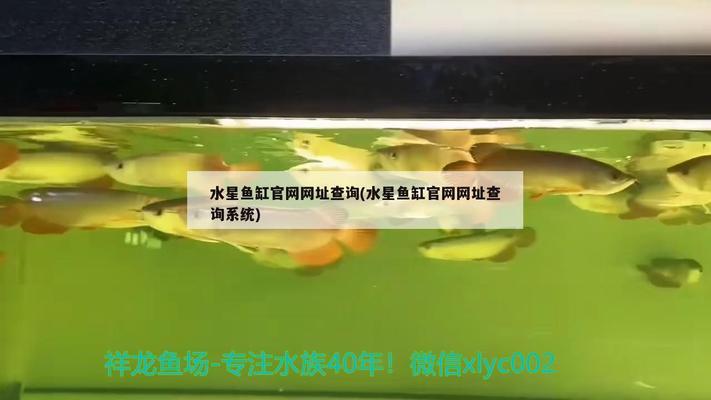 廣州蘭亭水族科技有限公司（廣州蘭亭水族科技有限公司怎么樣）