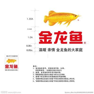 魚缸水有味道正常嗎視頻（魚缸水有味道正常嗎視頻講解）