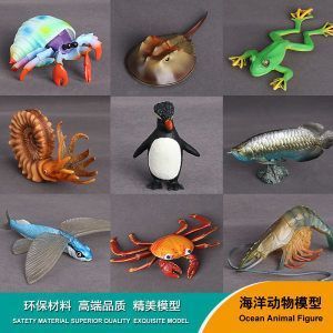 紅龍魚(yú)品牌等級(jí)劃分（紅龍魚(yú)哪個(gè)品牌最好）