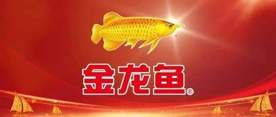 沈陽(yáng)市沈河區(qū)創(chuàng)拓水域水族店（沈陽(yáng)市沈河區(qū)創(chuàng)拓水域水族店電話）