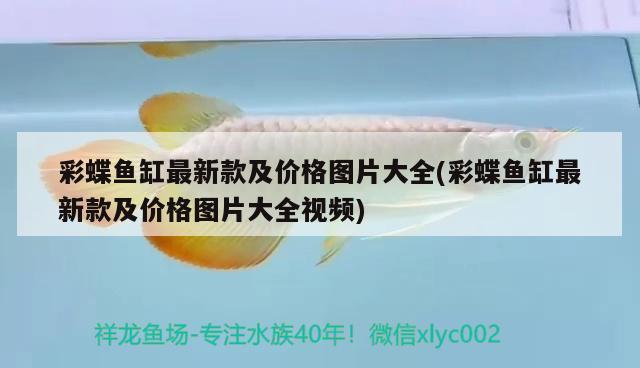 小型雷龍魚哪個(gè)最漂亮（小型雷龍魚哪個(gè)最漂亮又便宜）