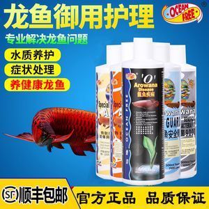 招財(cái)魚圖片(招財(cái)魚多少錢一條) 戰(zhàn)車紅龍魚