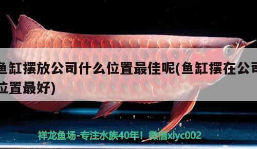 鞍山經濟開發(fā)區(qū)老亮水族器材經銷處（鞍山經濟開發(fā)區(qū)老亮水族器材經銷處電話）