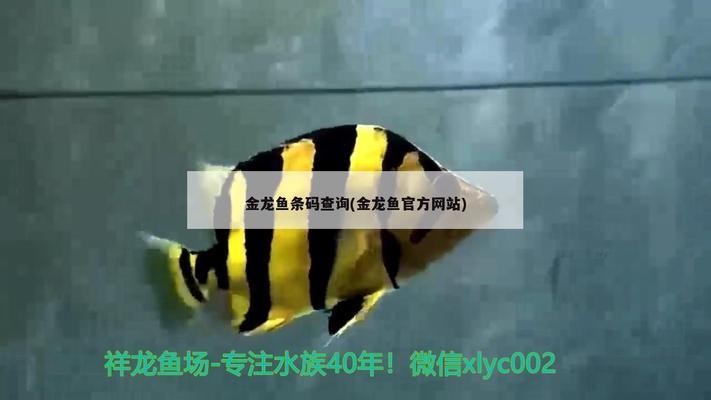 沙利魚圖片（沙利魚的圖片）