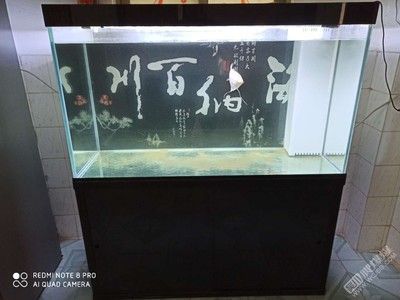 深圳市寶安區(qū)沙井怡苑水族店（深圳市寶安區(qū)沙井怡苑水族店地址） 全國水族館企業(yè)名錄