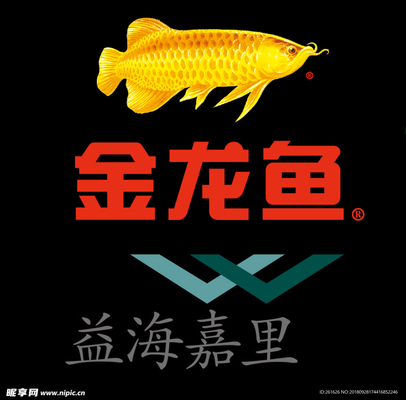 阿里巴巴魚缸批發(fā)市場在哪（阿里巴巴魚缸批發(fā)市場在哪里?。?溫控設備