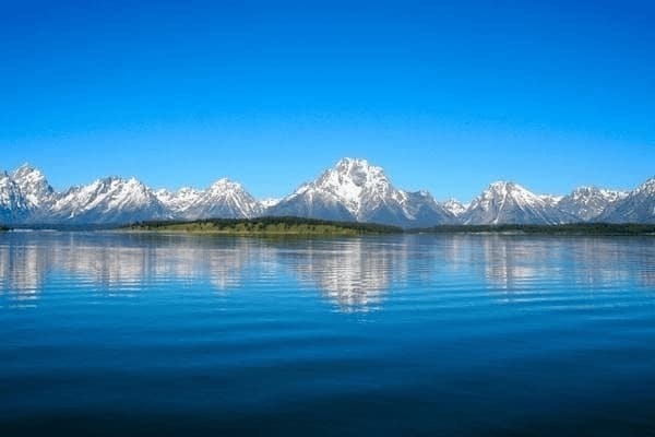 海口金龙鱼批发市场在哪里（海口金龙鱼批发市场在哪里啊）