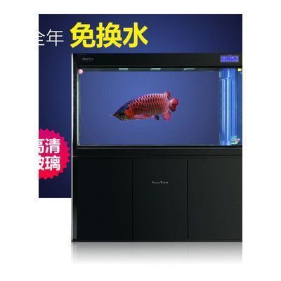 觀賞魚專用鹽使用方法視頻（觀賞魚殺菌鹽使用方法）