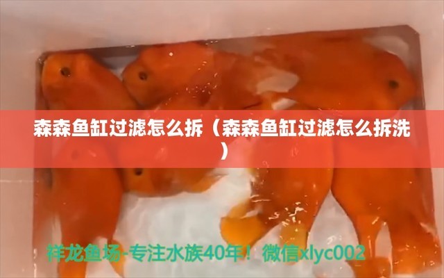 1.2米魚缸要多少濾材（1.2米魚缸要多少濾材呢） 其他品牌魚缸