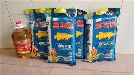 龍魚種類圖片大全圖解視頻下載（龍魚種類圖片大全圖解視頻下載安裝）