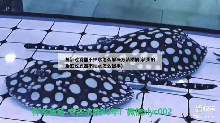 小蘇打魚缸怎么用的 水族問答