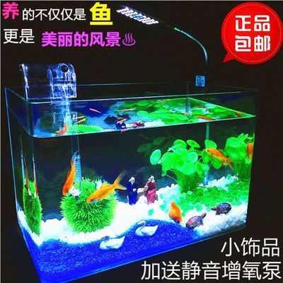 海口魚缸造景在哪里做的好一點(diǎn)（?？隰~缸造景在哪里做的好一點(diǎn)呢） 祥龍水族醫(yī)院