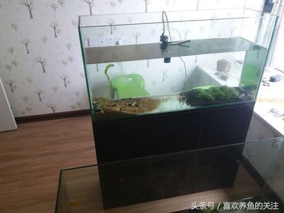 鞍山哪有修魚缸的店（鞍山哪有修魚缸的店鋪）