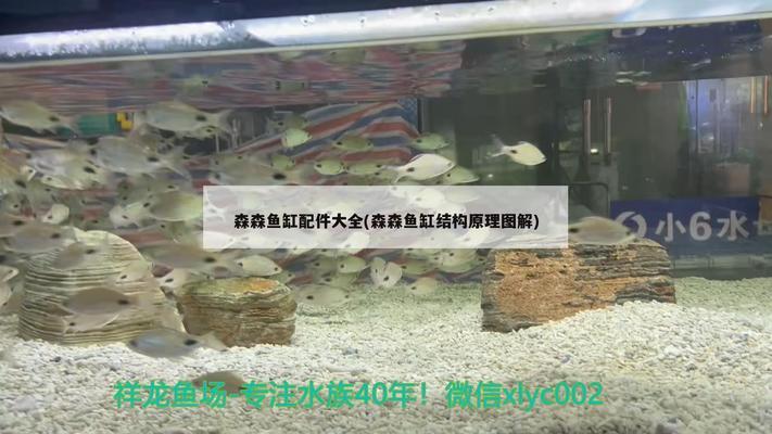 牡丹江市東安區(qū)興泉魚行（牡丹江活魚批發(fā)電話號(hào)碼）