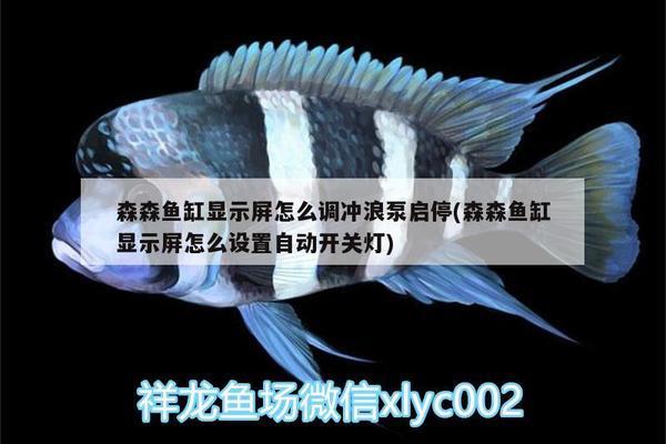 溫州哪里有做魚缸的廠家啊多少錢一個（溫州哪里有做魚缸的廠家啊多少錢一個月）