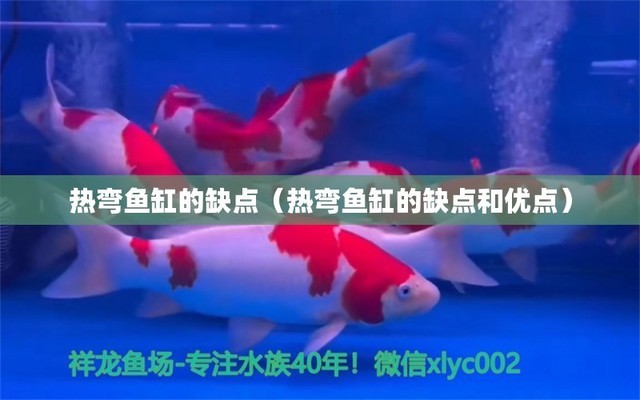 龍魚掉眼治療方法圖片大全（龍魚掉眼治療方法圖片大全視頻） 龍魚疾病與治療