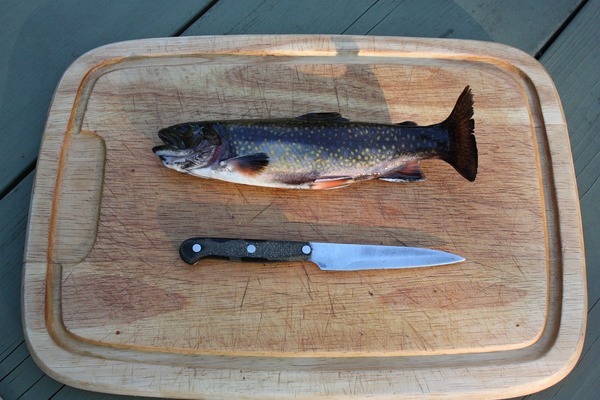 魚(yú)缸出現(xiàn)白霧的原因及基本處理方法圖片（魚(yú)缸出現(xiàn)白霧的原因及基本處理方法圖片大全）