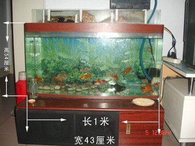 渝北定做魚缸