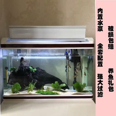 大門朝西魚缸放哪位置好（大門朝西魚缸放哪位置好一點(diǎn)）