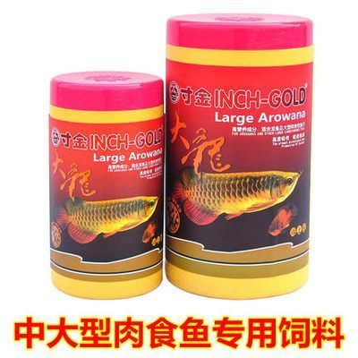 大型雷龍魚的品種圖片（大型雷龍魚的品種圖片大全）