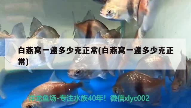 龍魚(yú)越大越貴嗎視頻（龍魚(yú)越大越貴嗎視頻講解）