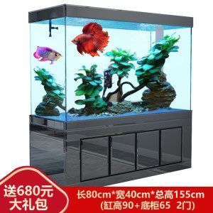 咸陽水族店（咸陽市水族店）