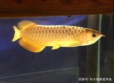 鲅魚tv在線進入：鲅魚tv在線下載