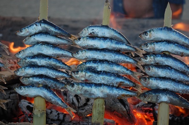 煙臺魚缸批發(fā)市場(魚缸批發(fā)廠家直銷山東煙臺)