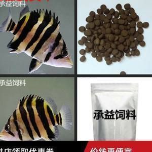 泰国虎鱼幼鱼饲料自制方法，泰国虎鱼幼鱼饲料的自制方法泰国虎鱼幼鱼饲料成本分析