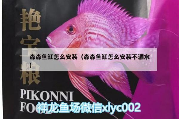 魚缸最高可以做多高(魚缸要多高才好)