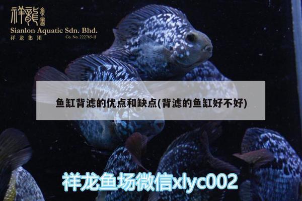 青島哪里做魚缸加工的最多?。ㄇ鄭u哪里做魚缸加工的最多啊多少錢）