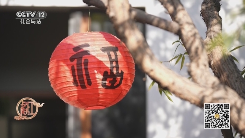 夕阳红 《夕阳红》 20260204 春生时养（1）