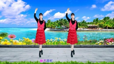 流行DJ广场舞及教学 第三季 新潮DJ广场舞《爱情41度9》32步教学