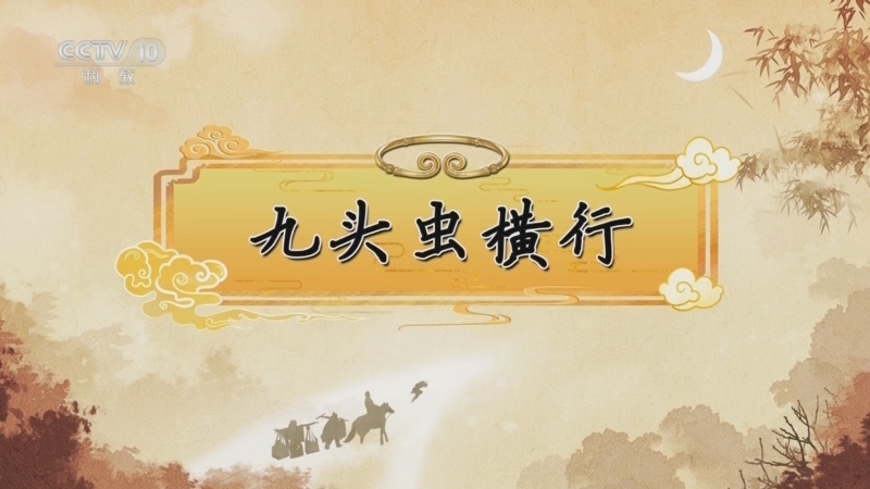 百家讲坛 《百家讲坛》 20250421 《西游记》中的情理法（第二部） 5 九头虫横行