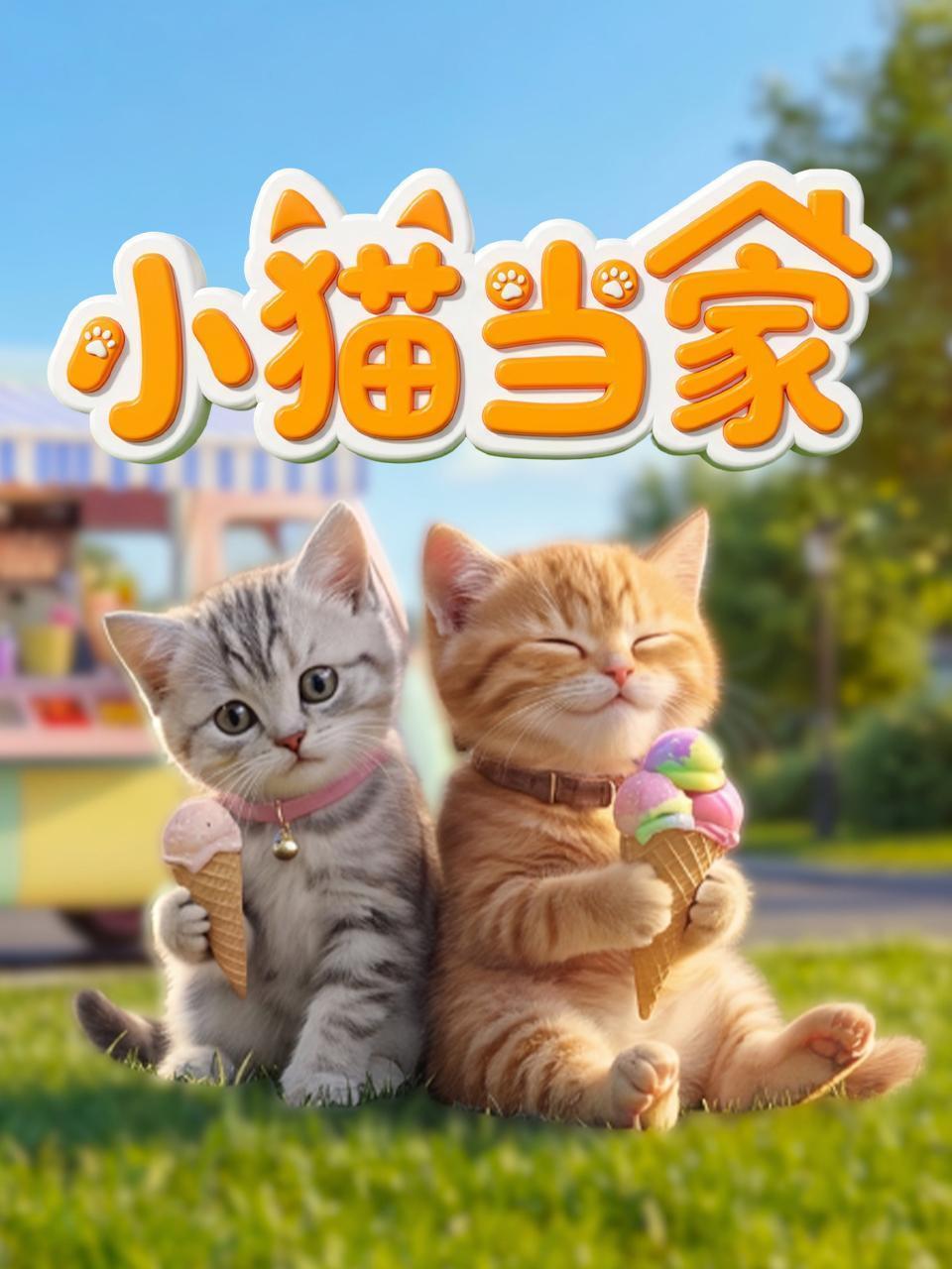 小猫当家