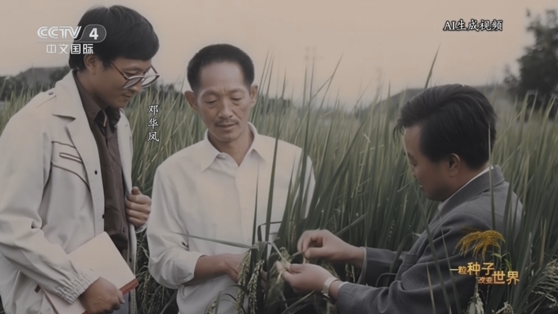《一粒种子改变世界》 第4集 超级魔稻