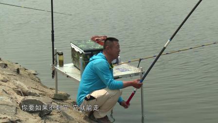 吃完饭回来的大毛老师遇见了什么样的意外惊喜