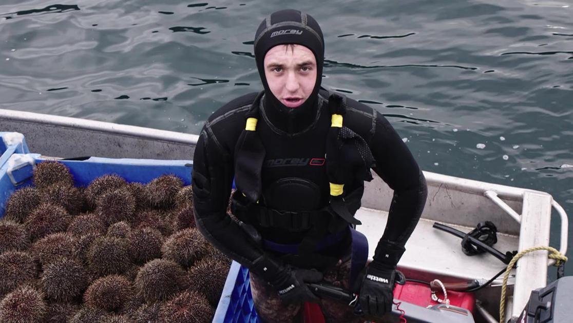 黄金海胆猎人 第5集