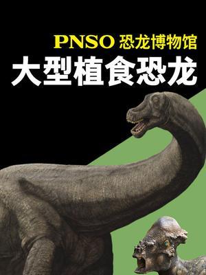 PNSO恐龙博物馆：大型植食恐龙