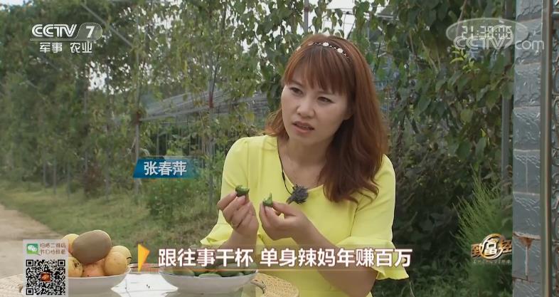 致富经 [致富经]跟往事干杯 单身辣妈年赚百万 20181106