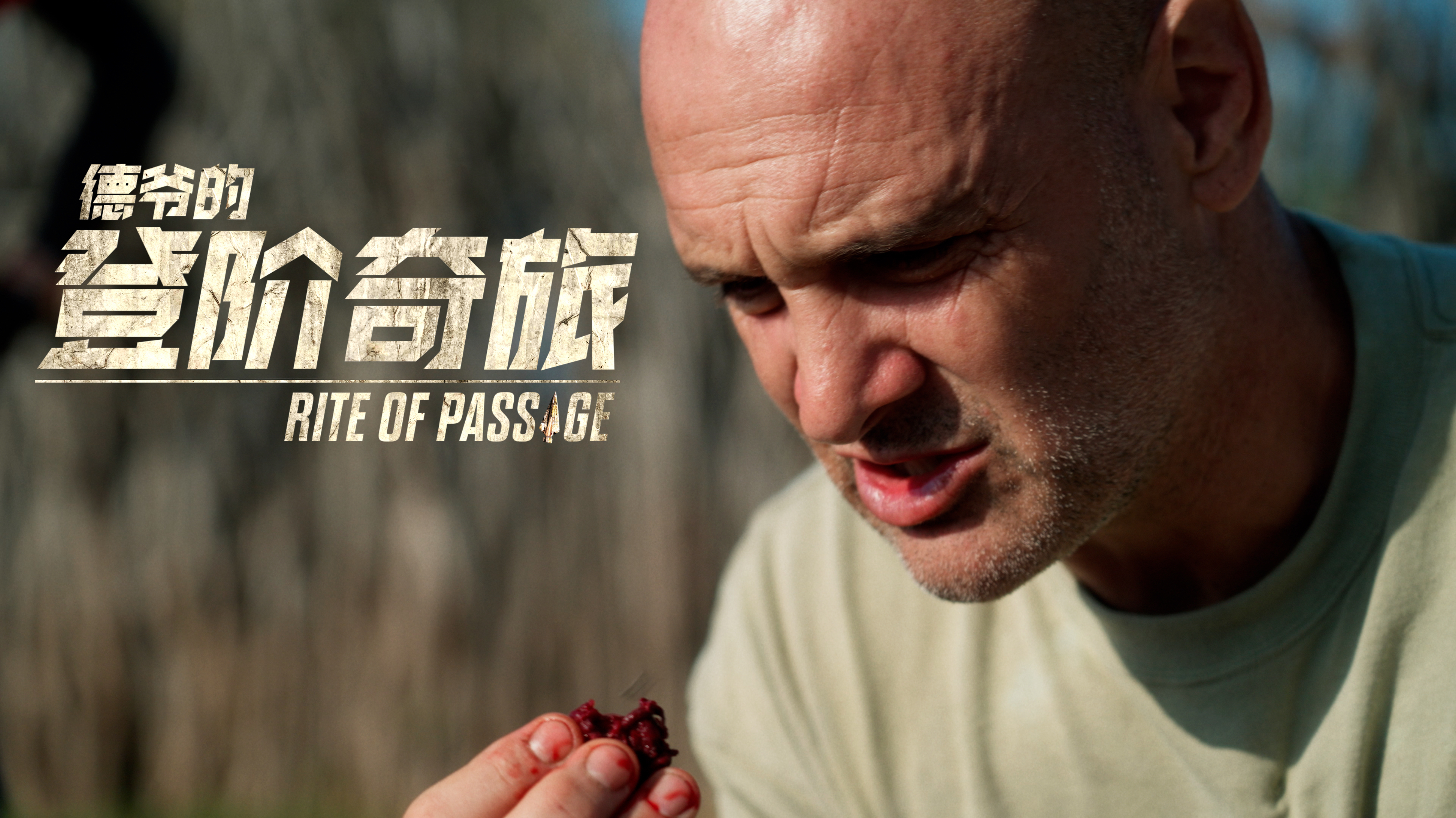 德爷的登阶奇旅 埃塞俄比亚（下）