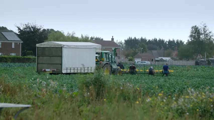 《24小时警方拘留第十季》第2集