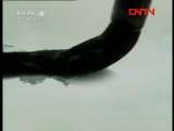 《国宝档案》 20111101 金沙遗址金器
